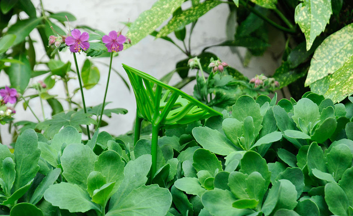 创意火狐官方网站 - 坐具|餐椅|办公火狐官方网站|火狐HUOHU（中国）火狐官方网站|植物餐椅